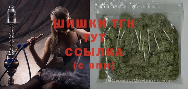 молекула духа Алексин