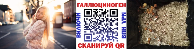 Псилоцибиновые грибы Cubensis  Нурлат 